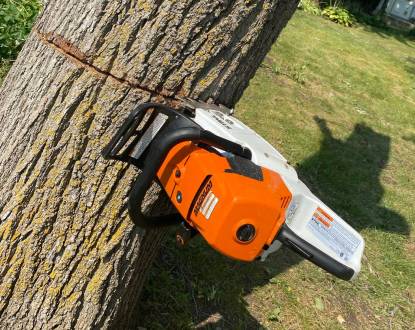 <p style="font-family: 'Poppins', sans-serif; font-weight: 700; font-size:24px;">TREE REMOVAL</p>