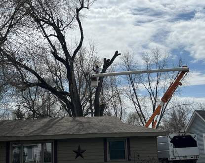 <p style="font-family: 'Poppins', sans-serif; font-weight: 700; font-size:24px;">TREE TRIMMING</p>