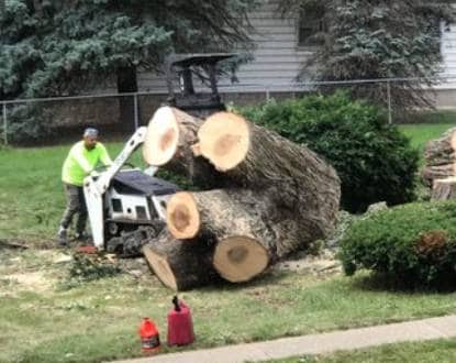 <p style="font-family: 'Poppins', sans-serif; font-weight: 700; font-size:24px;">STUMP REMOVAL</p>